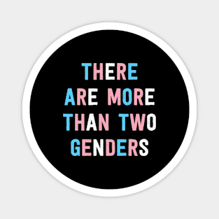 There Are More Than 2 Genders Magnet